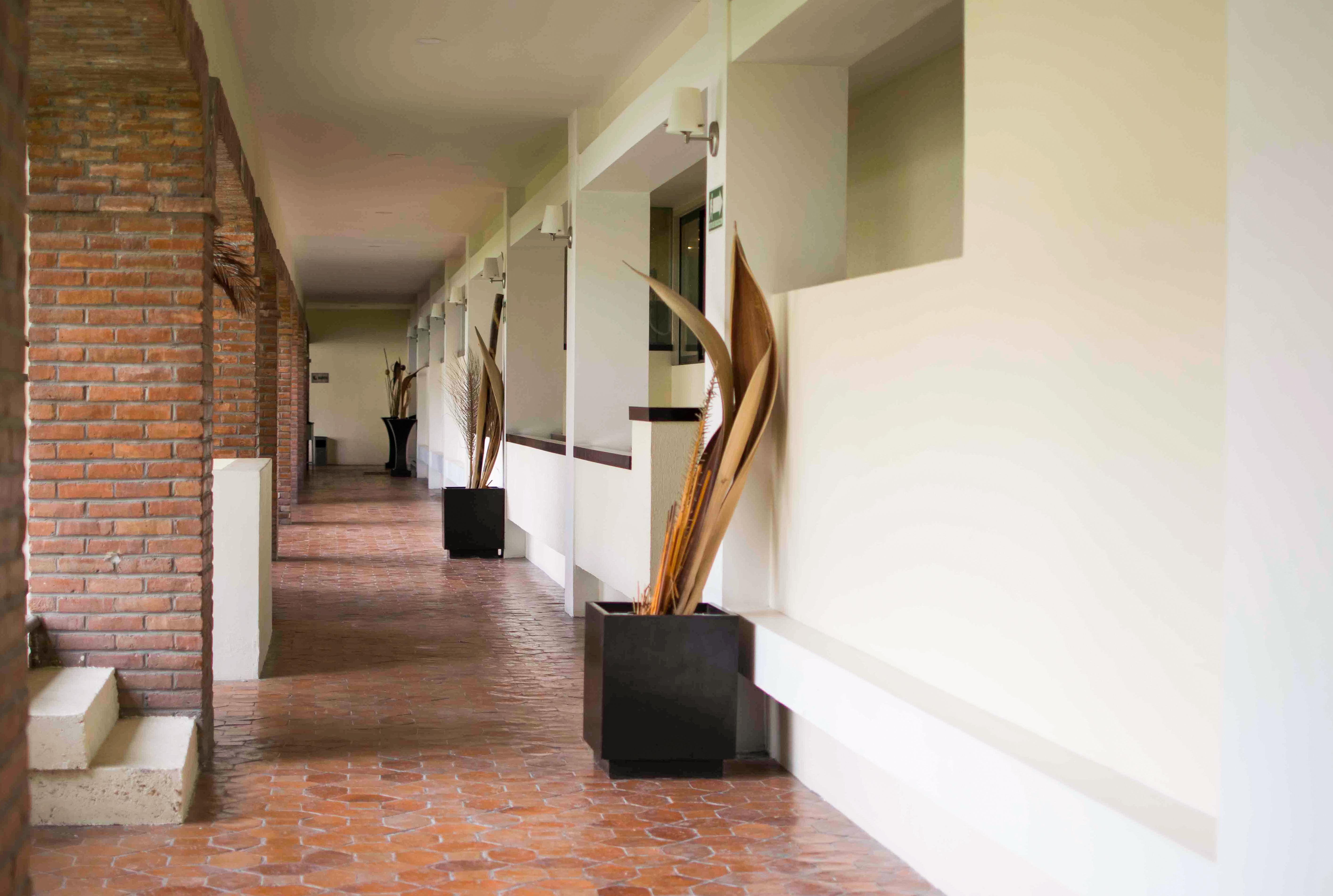 Wyndham Garden Aguascalientes Hotel & Casino Luaran gambar